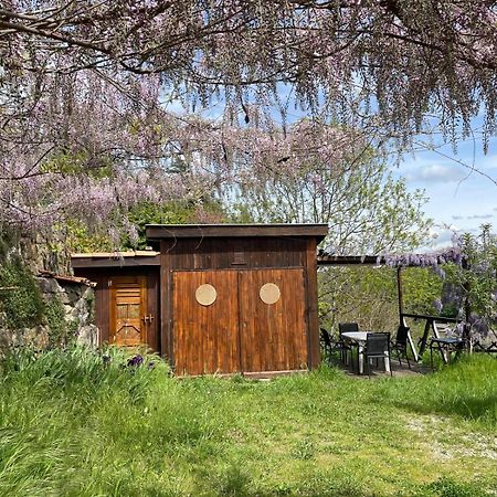 Le Chalet Du Parc 阿诺奈 外观 照片