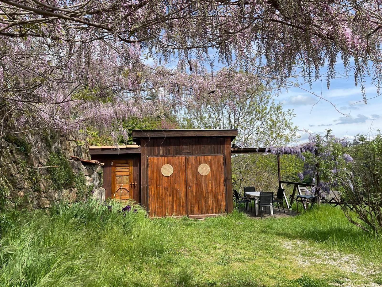 Le Chalet Du Parc 阿诺奈 外观 照片
